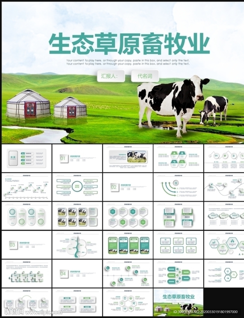 生态草原畜牧业奶牛养殖乳业