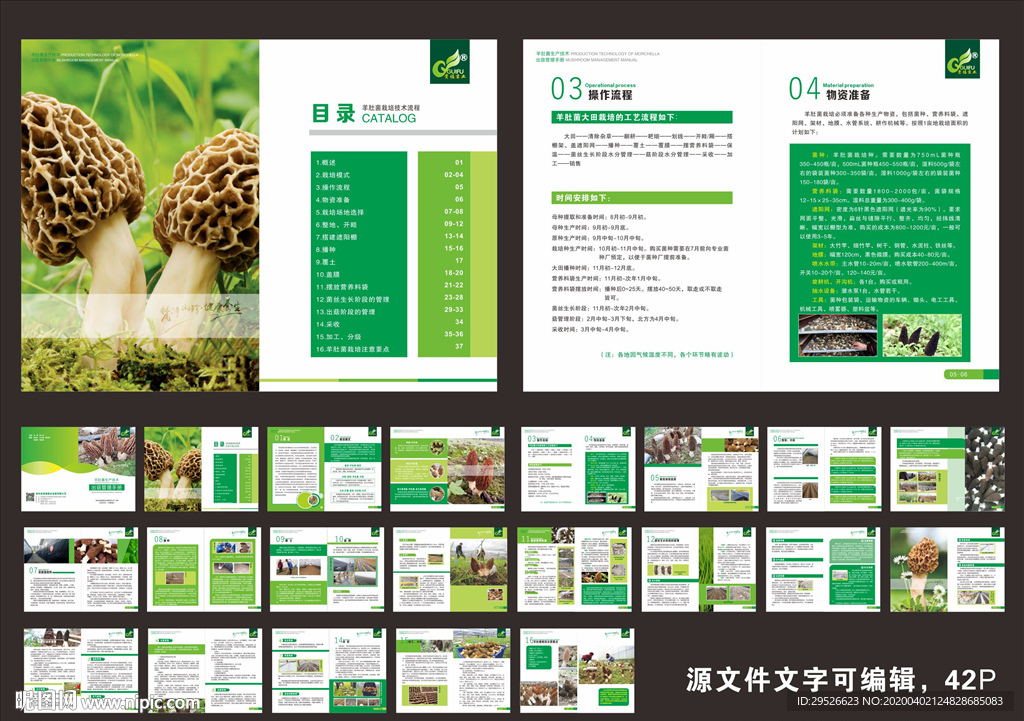 羊肚菌生产技术出菇管理手册