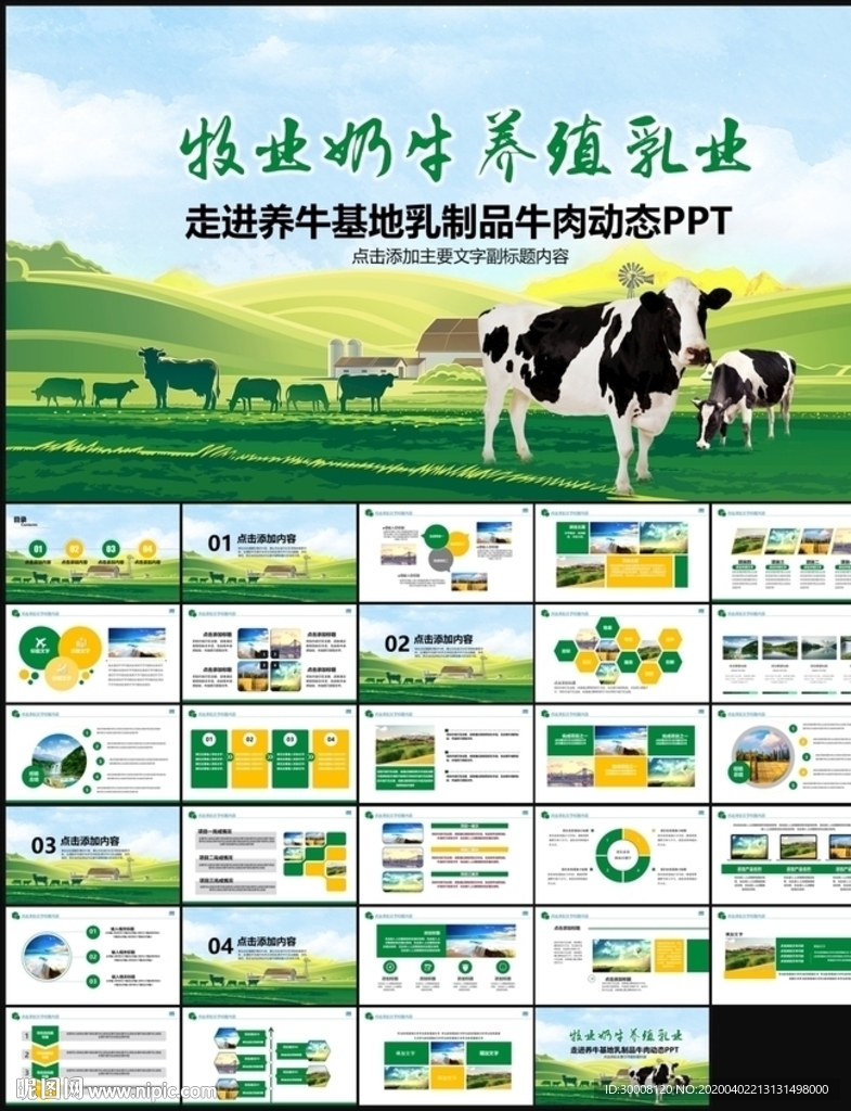 生态草原畜牧业奶牛养殖乳业