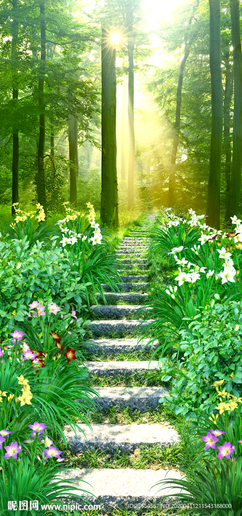 小树林阶梯过道自然风光绿荫玄关