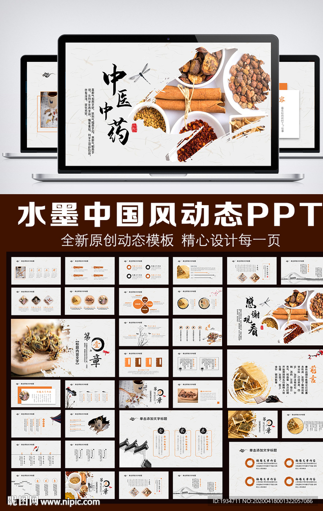 水墨中國風中醫(yī)中藥動態(tài)PPT模