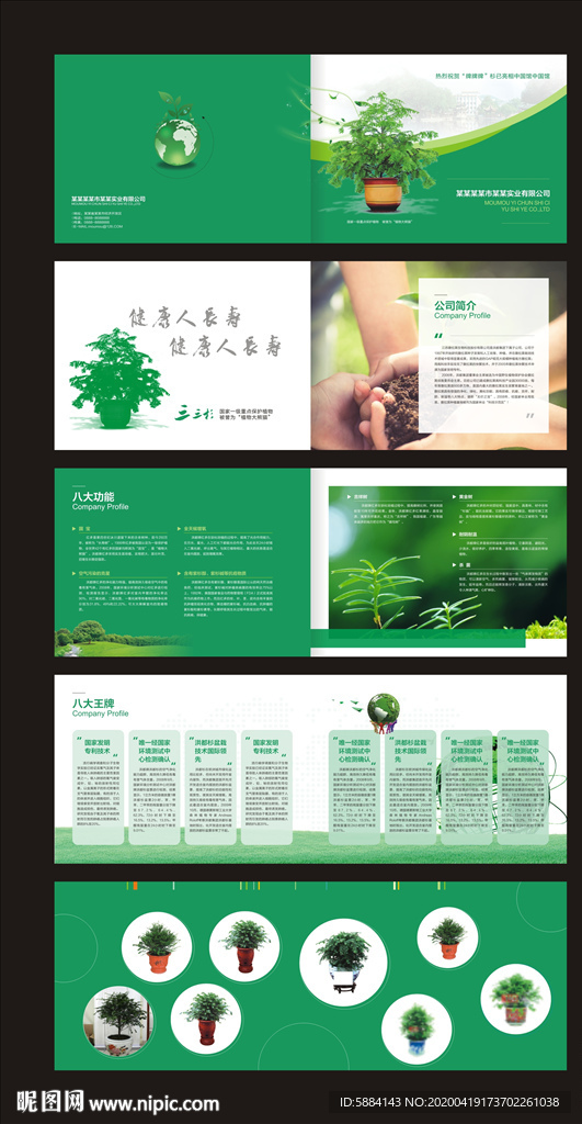 绿色画册 植物画册 盆景画册