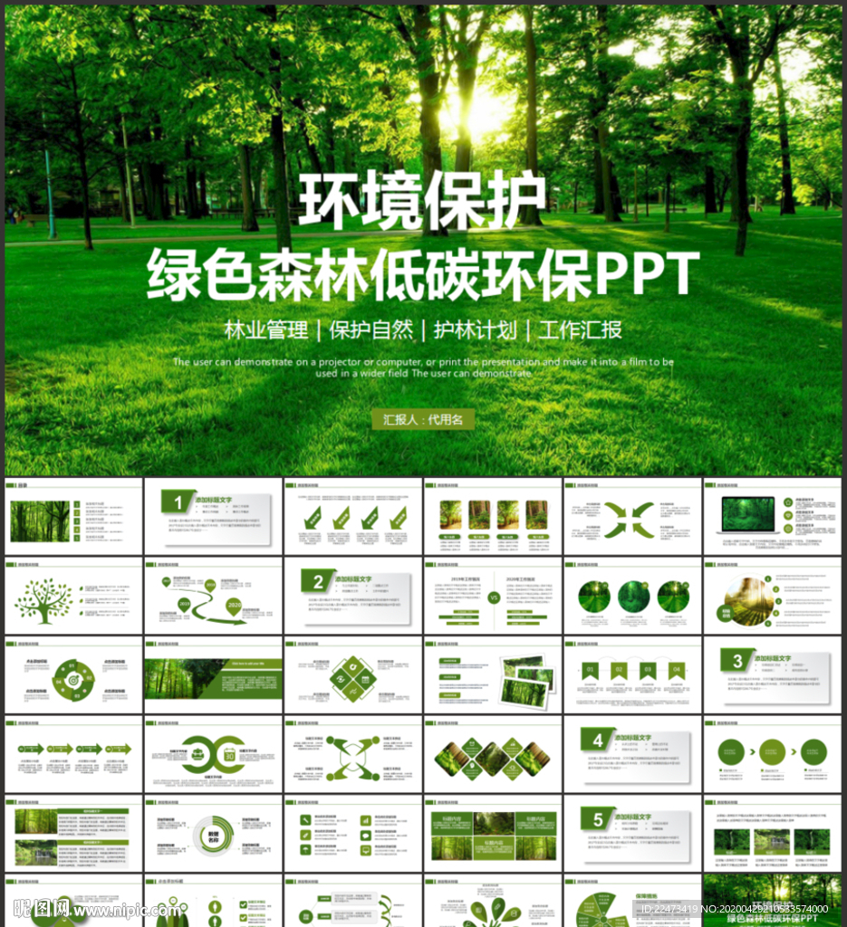 保护森林湿地PPT