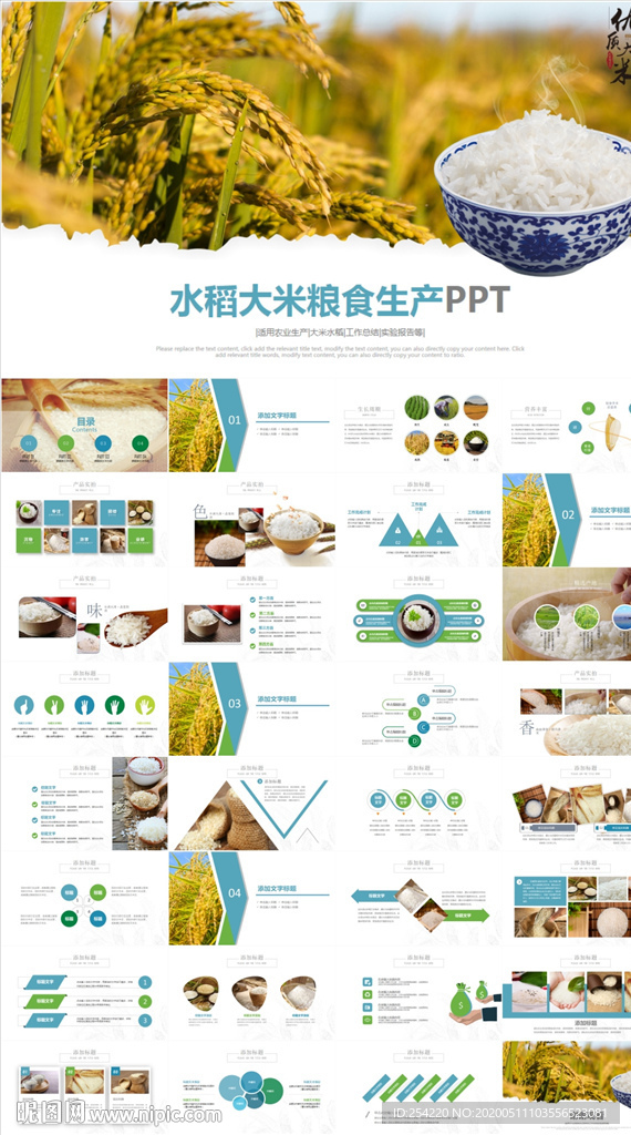 水稻五常有机大米PPT模板农业