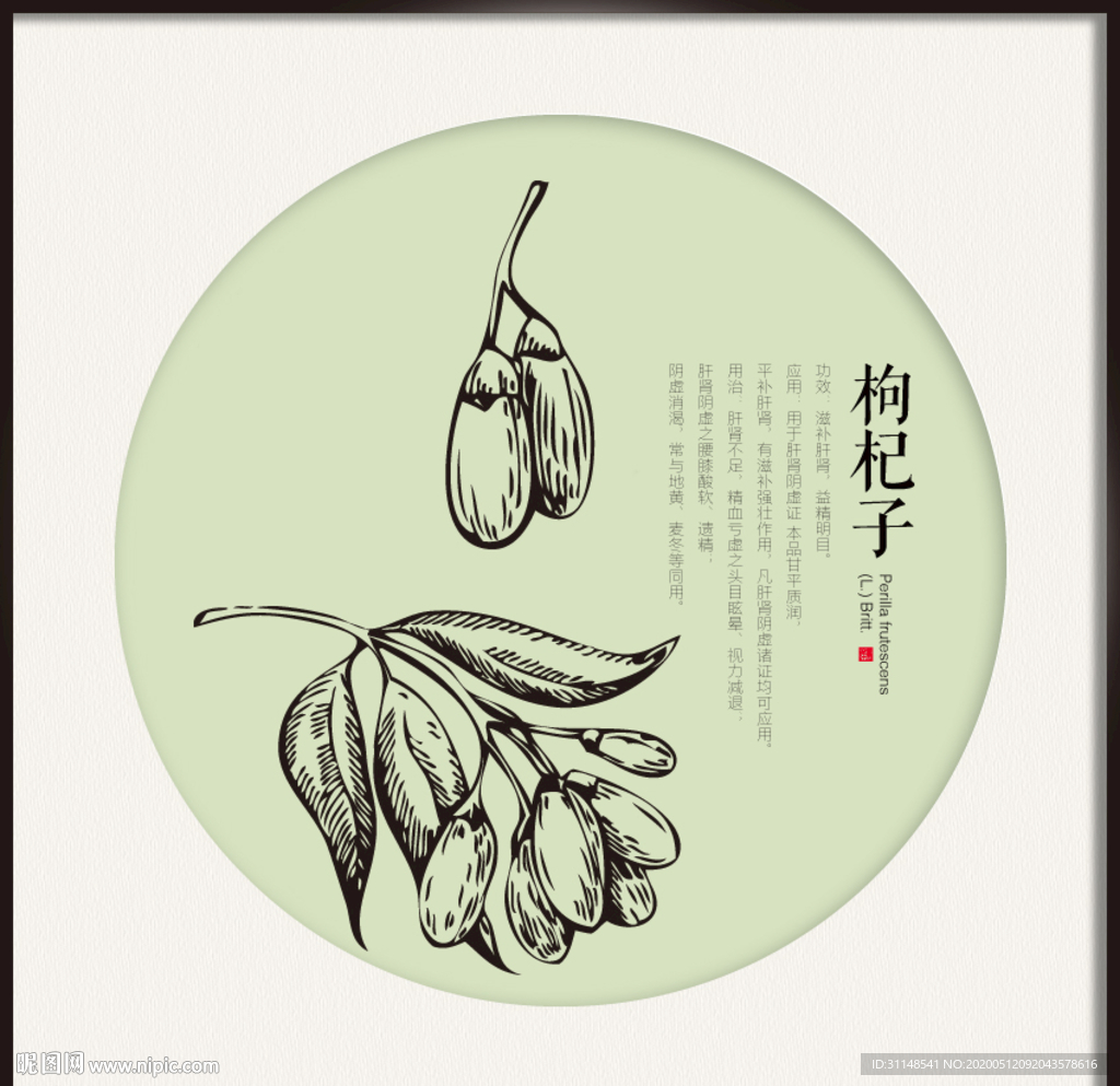 枸杞子