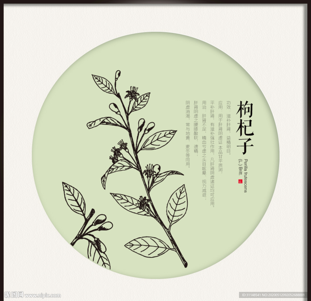 枸杞子