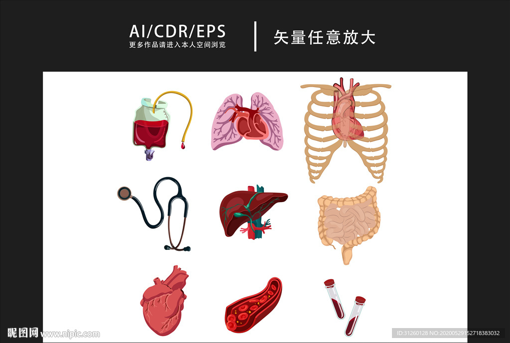 71 m尺寸:0×0像素格式:ai(cs6)颜色:rgb55元(cny)关 键 词:医学插画