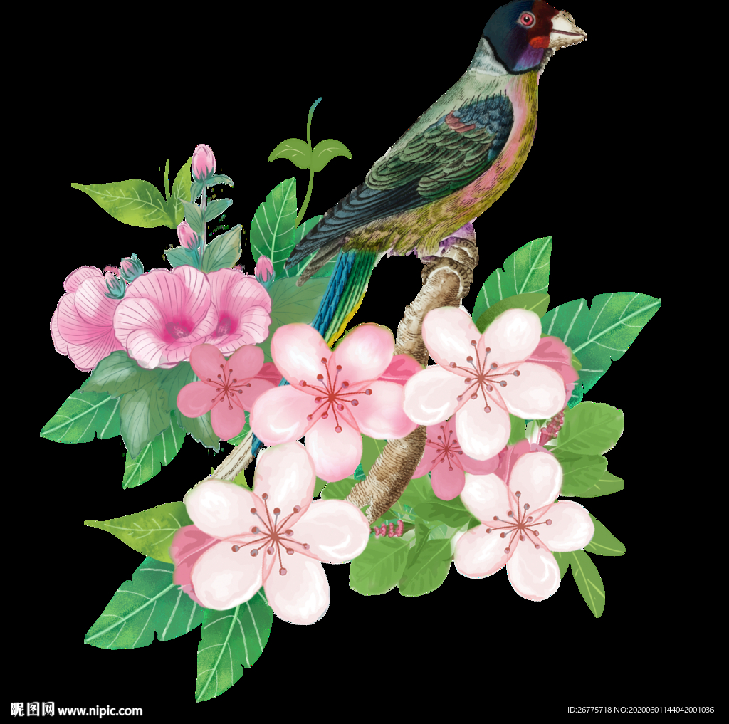 高清花卉 花丛 鸟 png图片