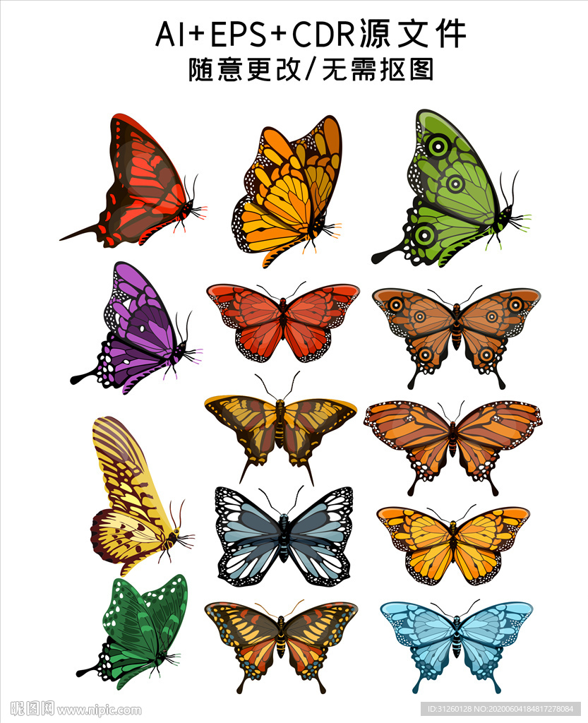 矢量手繪蝴蝶插畫