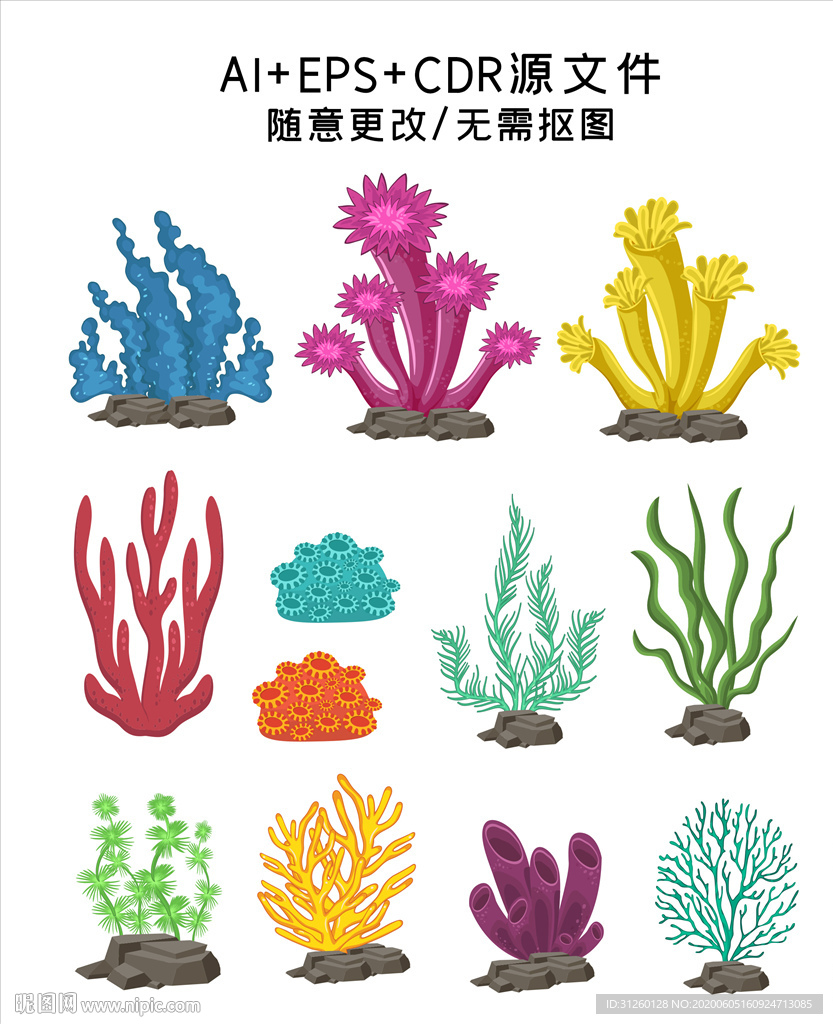 手绘海草珊瑚插画素材