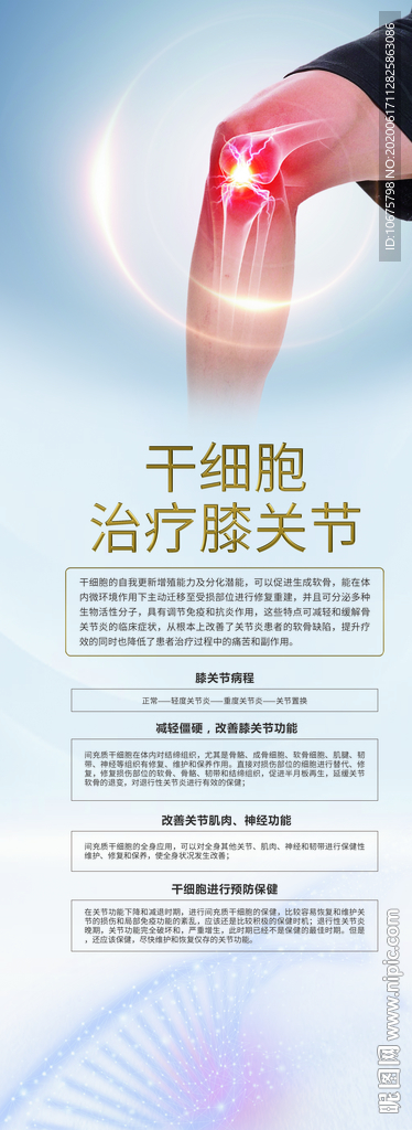 干細(xì)胞