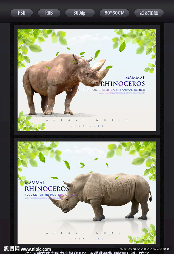 犀牛野生动物海报