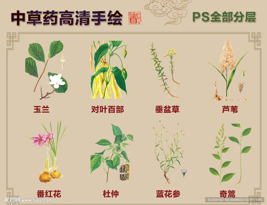 中草藥手繪