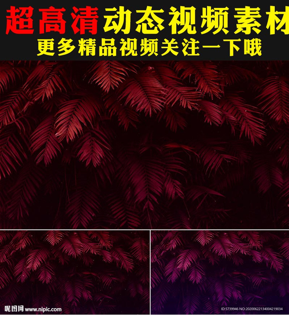 粉红色植物树叶LED背景视频