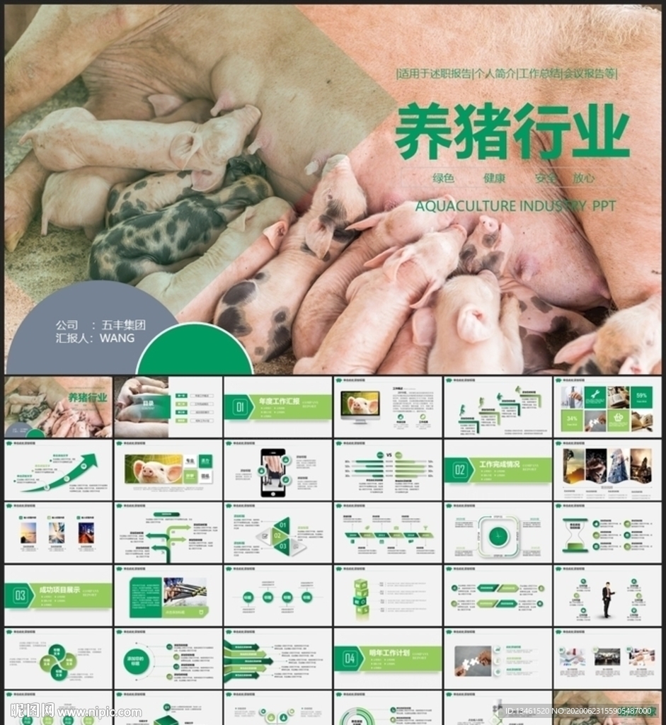 养猪行业畜牧汇报PPT