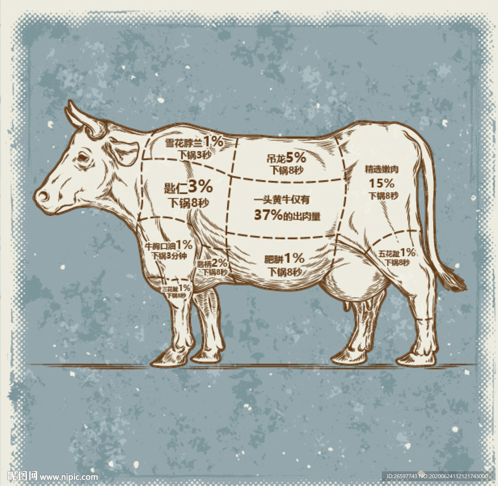 牛肉的分割图