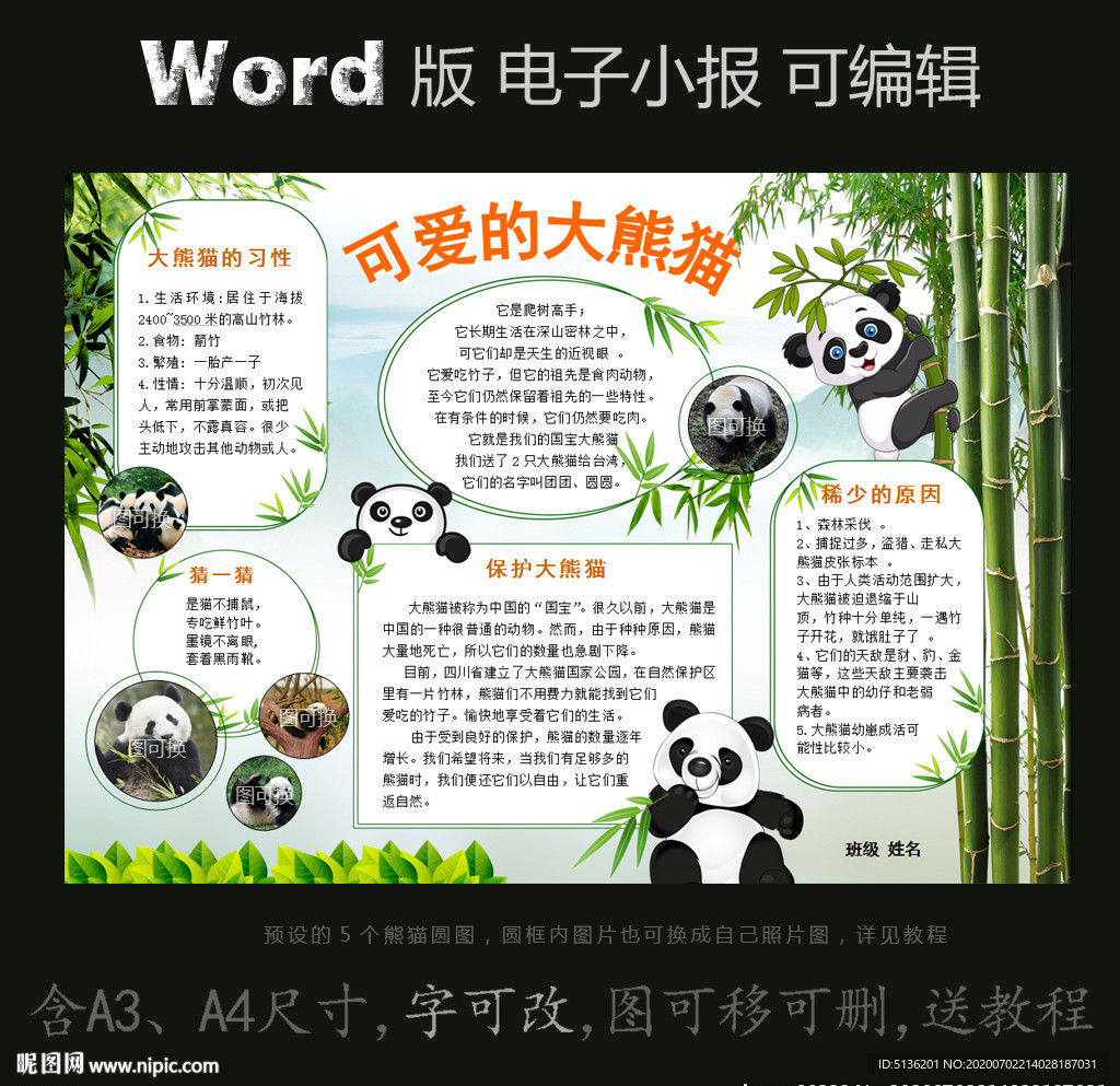 word版动物电子小报大熊猫