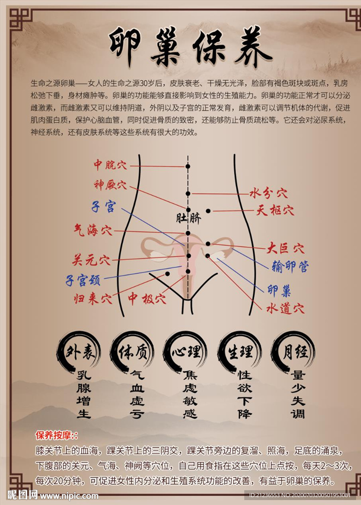 养生馆卵巢保养展板平面图