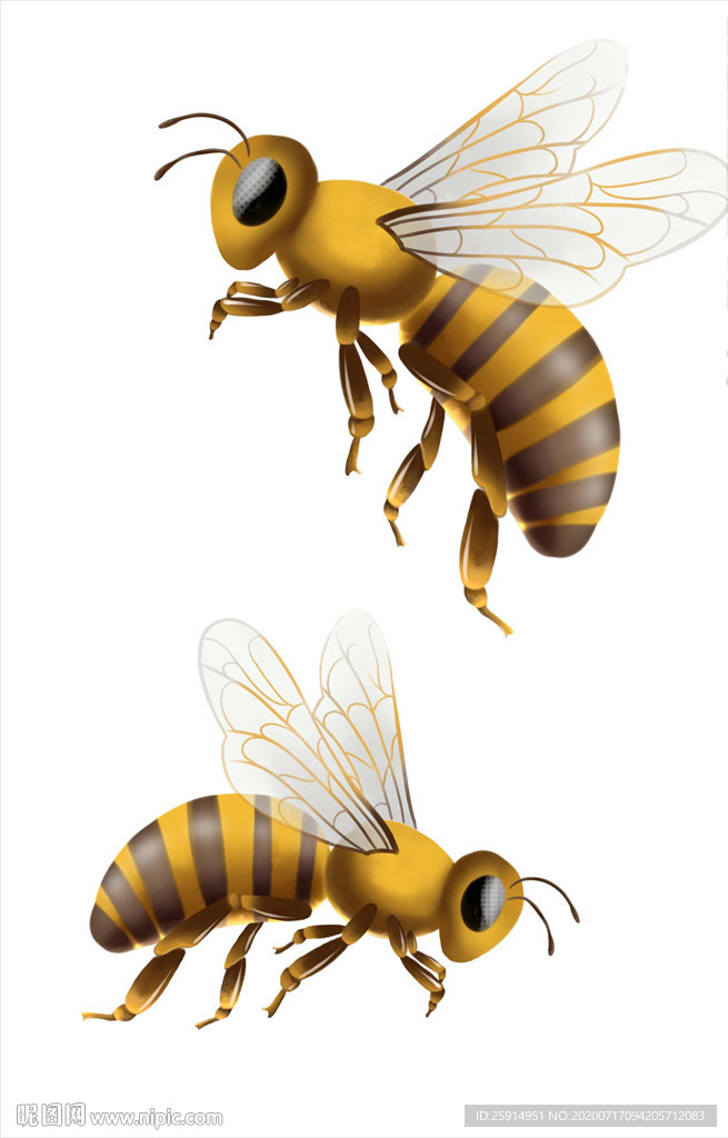 手绘蜜蜂