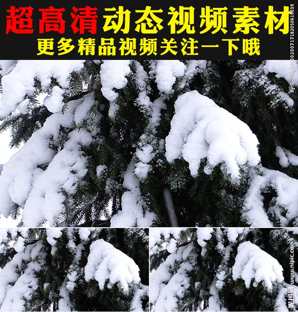 冬季雪景雪山云海白雪雪松视频