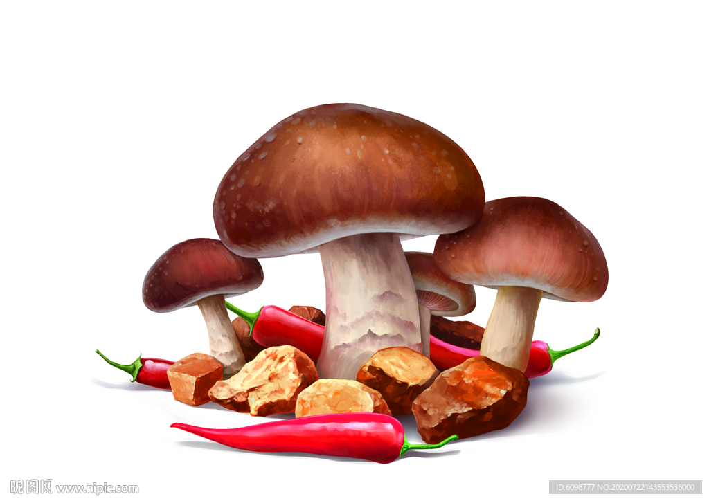 蘑菇辣椒肉丁手绘
