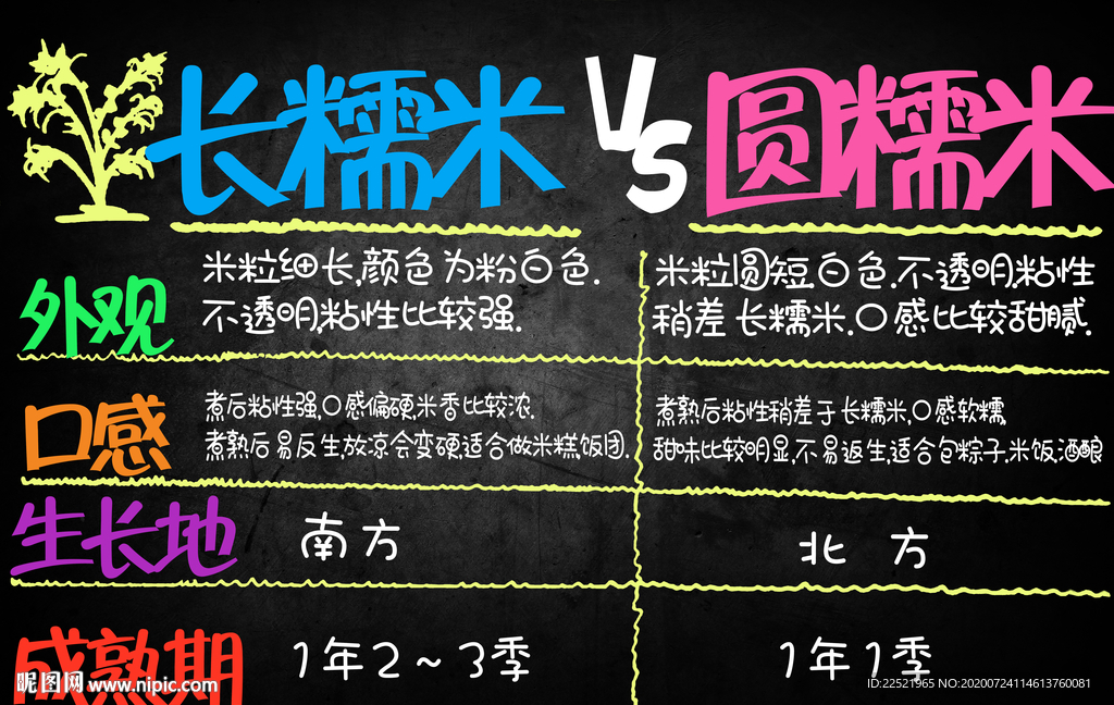 長糯米和圓糯米