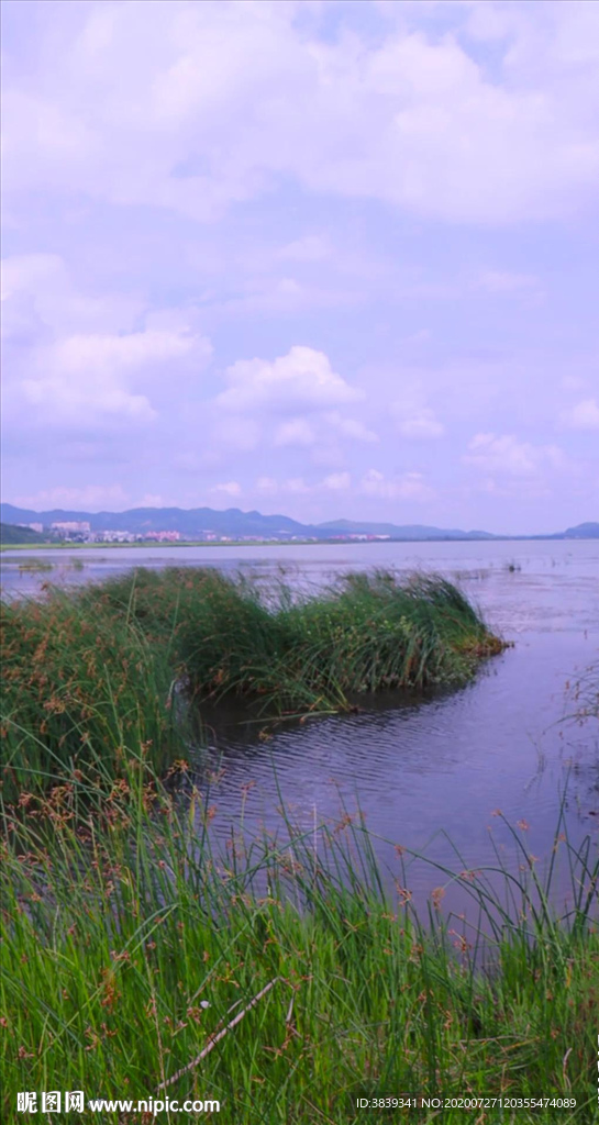 草海一角