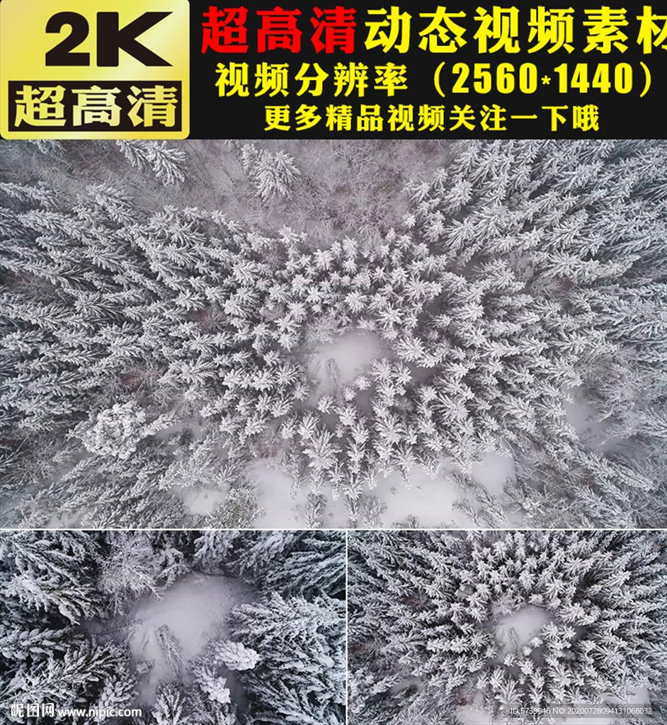 冬天雪景雪松下雪俯拍高清視頻