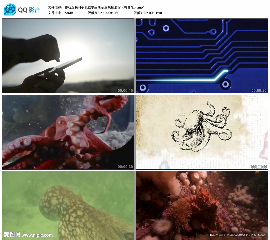 移動(dòng)互聯(lián)網(wǎng)手機(jī)數(shù)字生活章魚(yú)視頻