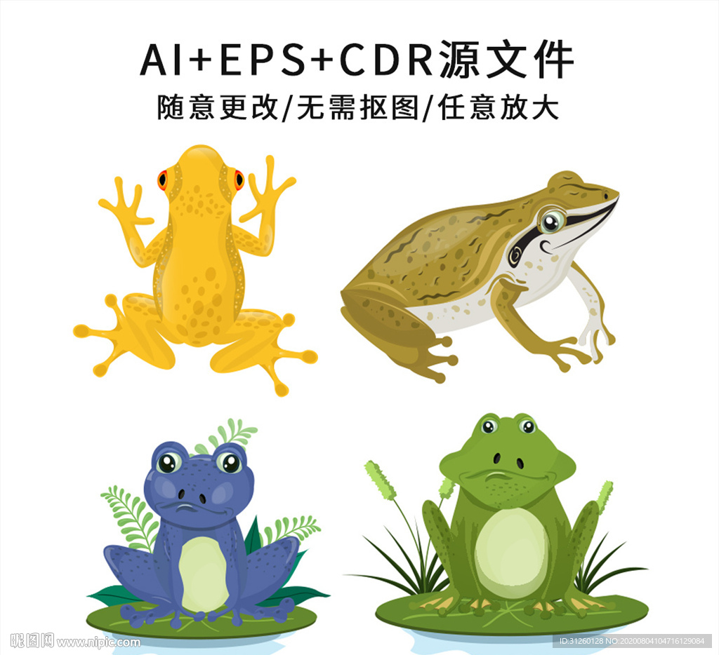 卡通青蛙