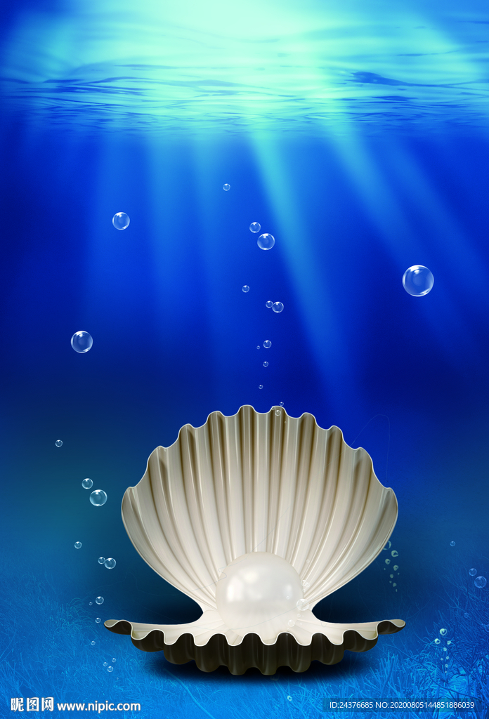 海洋珍珠貝殼