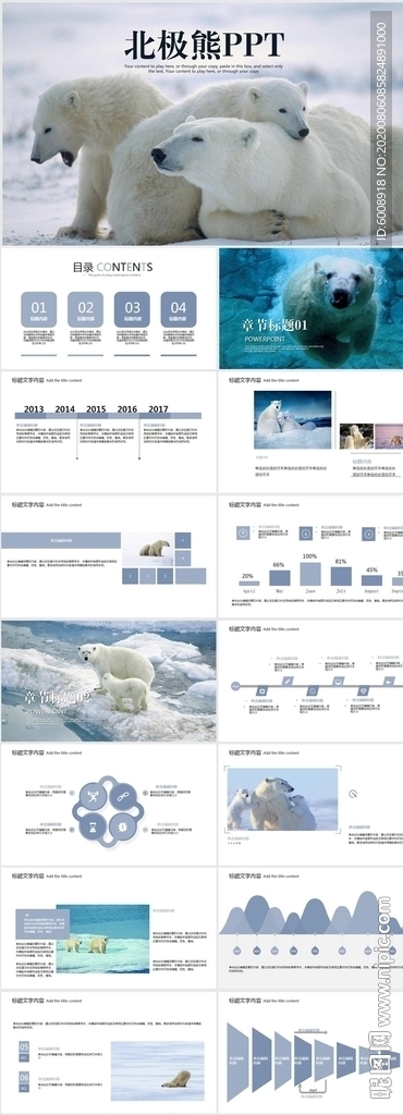 保护野生动物北极熊动态PPT