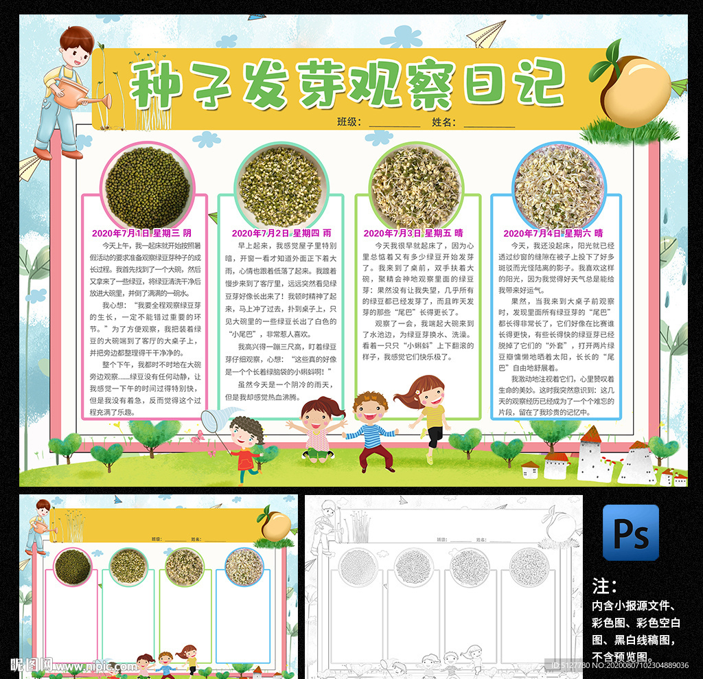 种子发芽观察日记小报