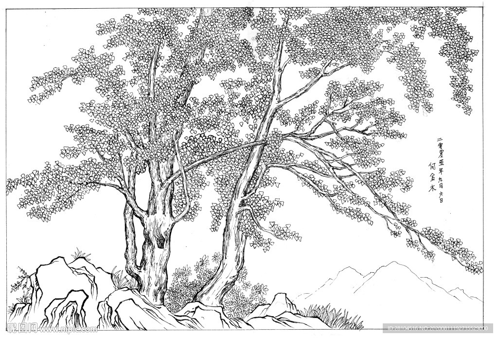 树木绘图