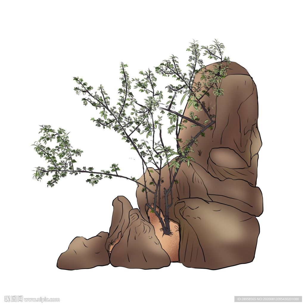 花椒 插畫 布依族 喀斯特