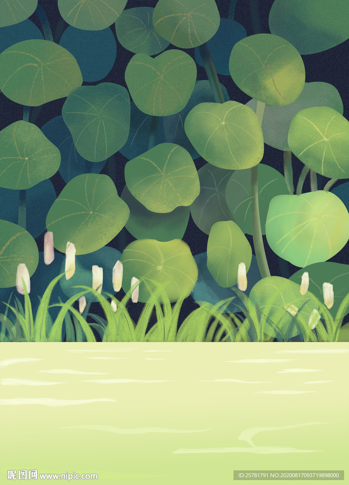 夏日插  池塘 荷叶连连 绿色