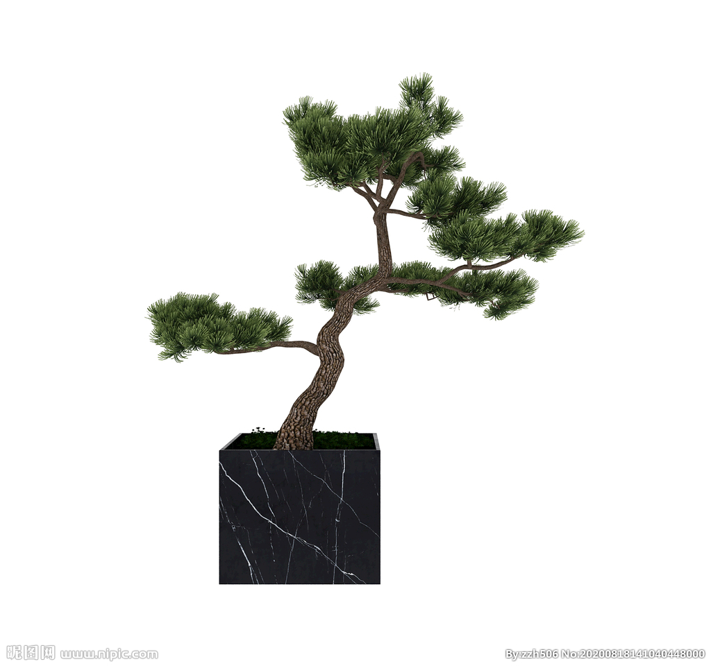 植物松树3d模型