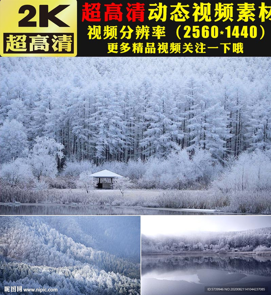 冬天雪景雪松下雪雪林雪山視頻