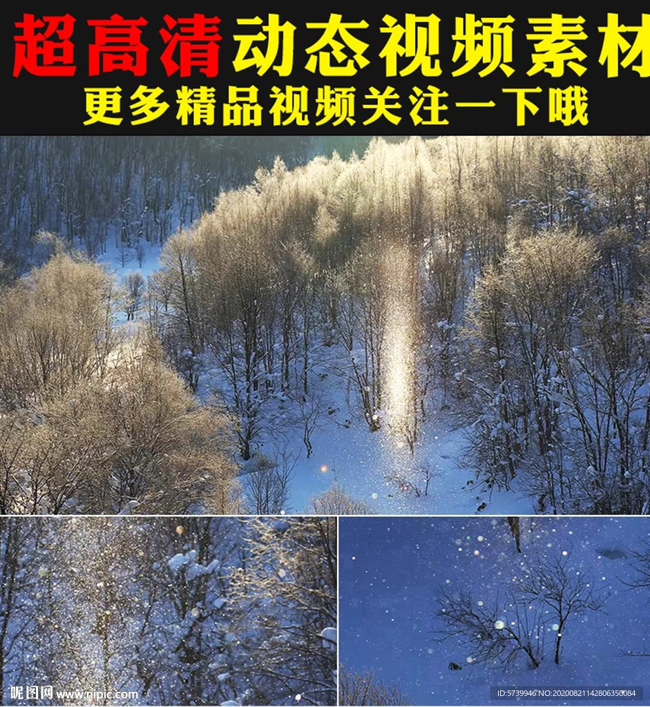 唯美下雪松树雪景光晕冬天视频