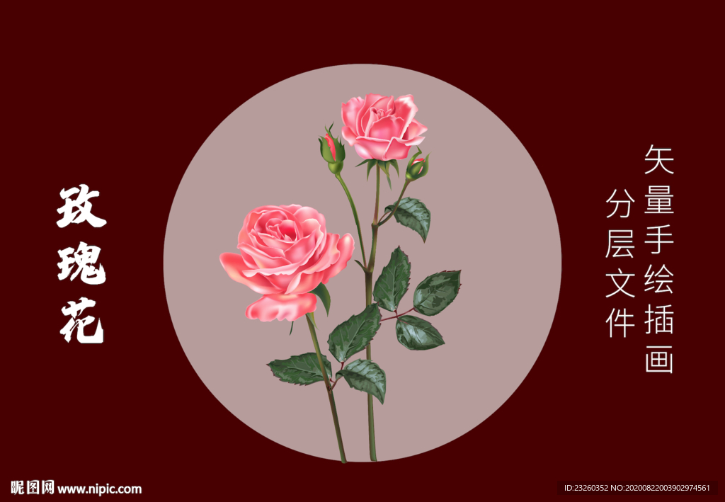玫瑰花月季花精品插画矢量手绘