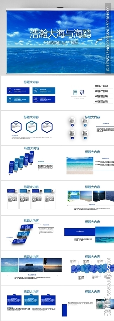 浩瀚大海与海鸥动态PPT模板