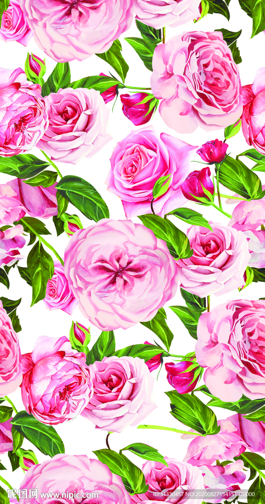 玫瑰花 粉色玫瑰
