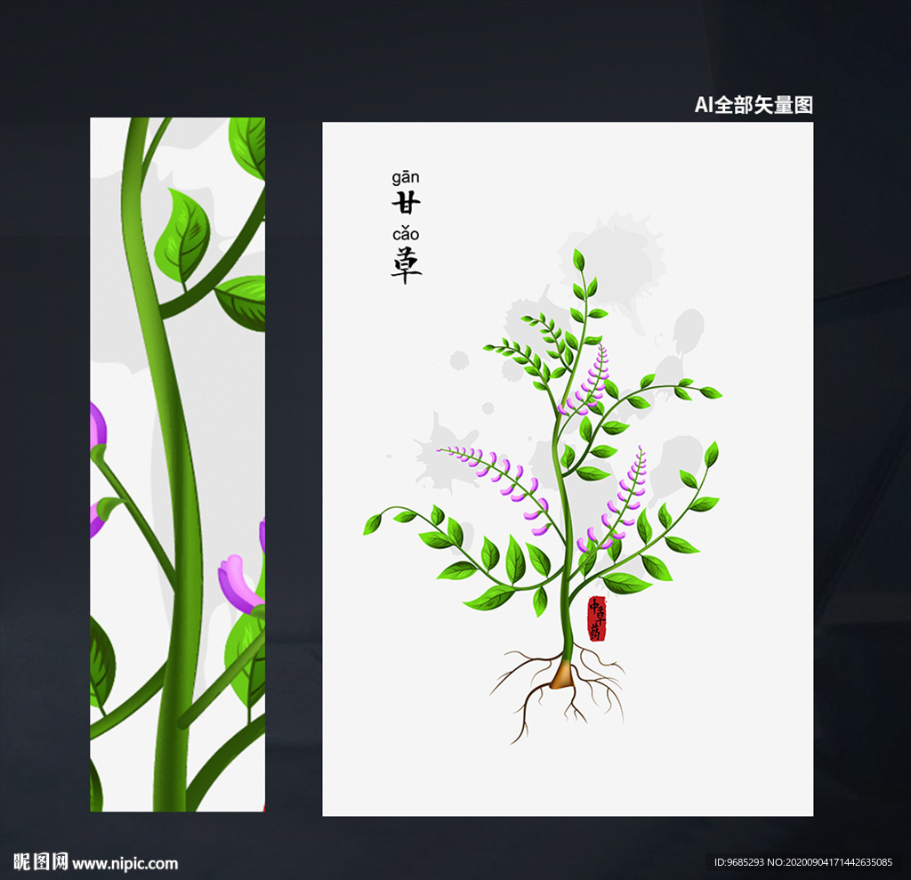 甘草插畫(huà) 矢量
