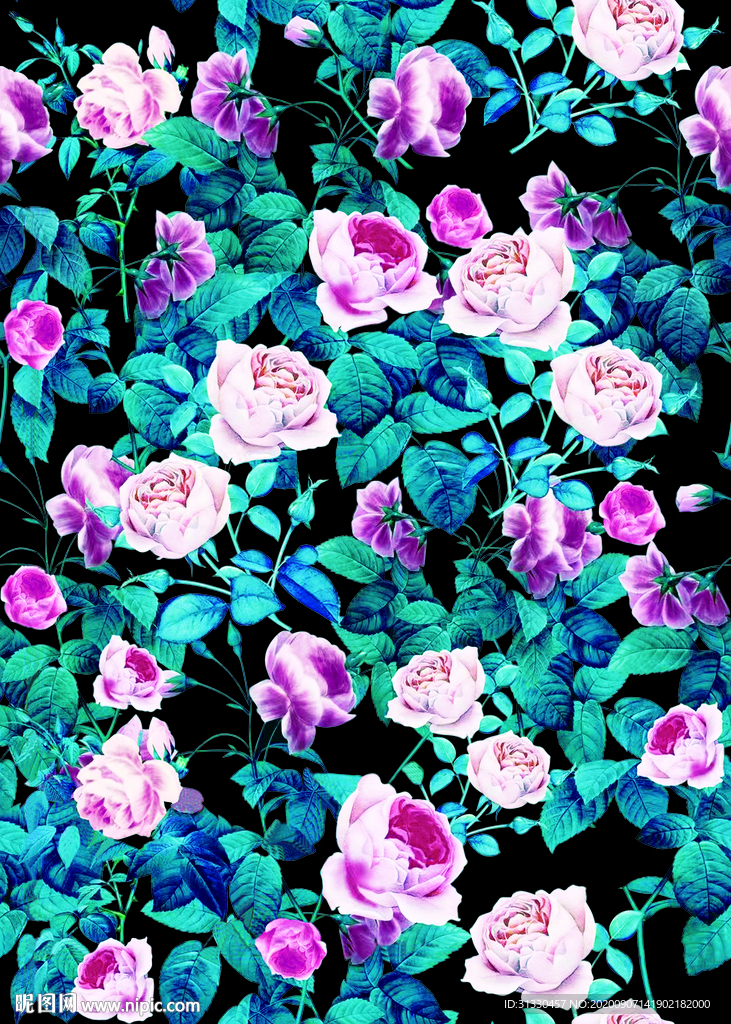 蓝叶子玫瑰花