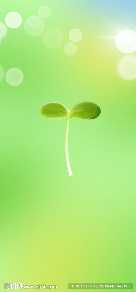 綠色豆芽新生植物嫩芽