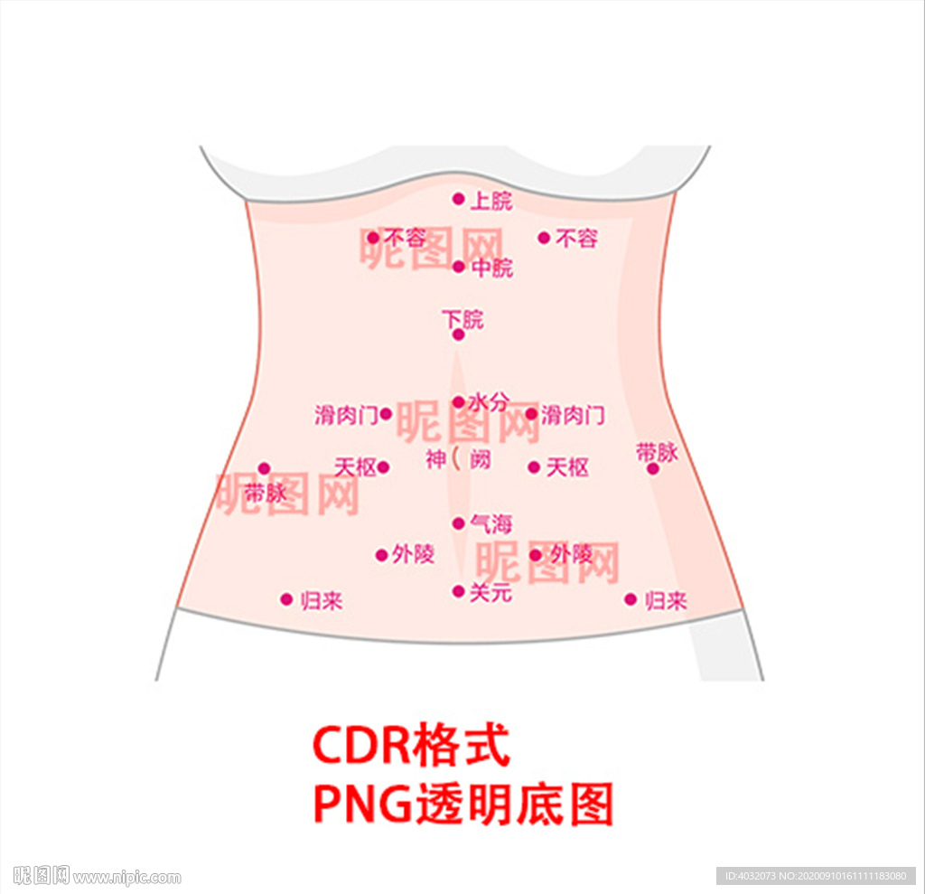 人体腹部穴位图高清图图片