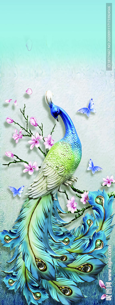 孔雀 鳳凰 瑜伽