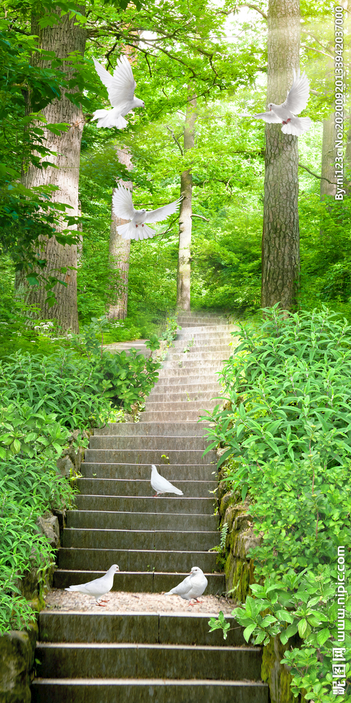 树林阶梯过道自然风光绿荫玄关