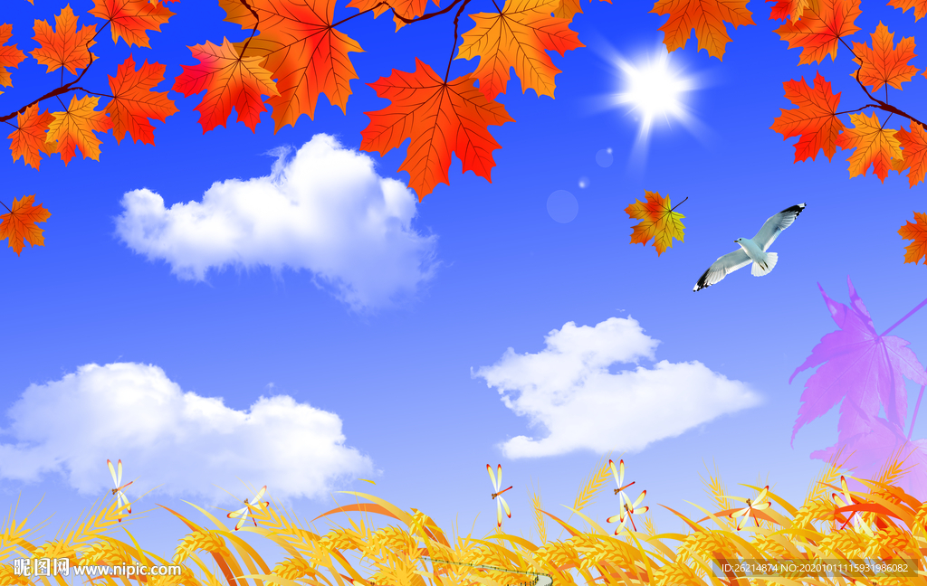 秋叶蓝天白云