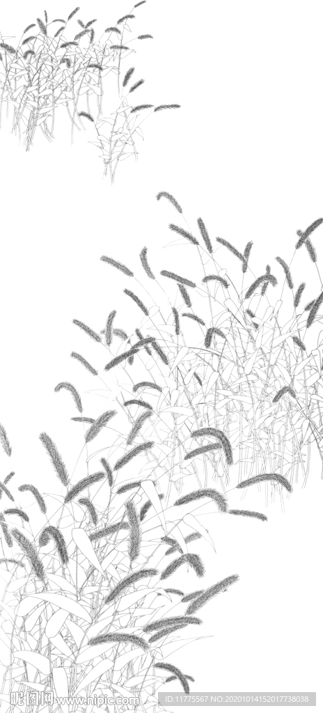 線描 手繪 插畫 原創(chuàng) 野草